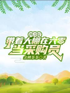 四合院带着大棚在60当采购员孙林 四合院带着大棚在60当采购员孙林