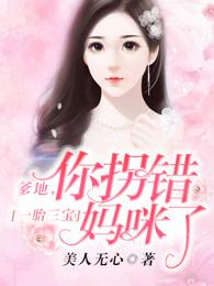一胎3宝爹地你拐错妈咪了 一胎3宝爹地你拐错妈咪了