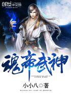 魂帝武神女主角有几个 魂帝武神女主角有几个