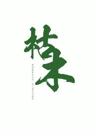枯木树舌 枯木树舌