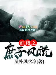 红楼之庶子风流 红楼之庶子风流