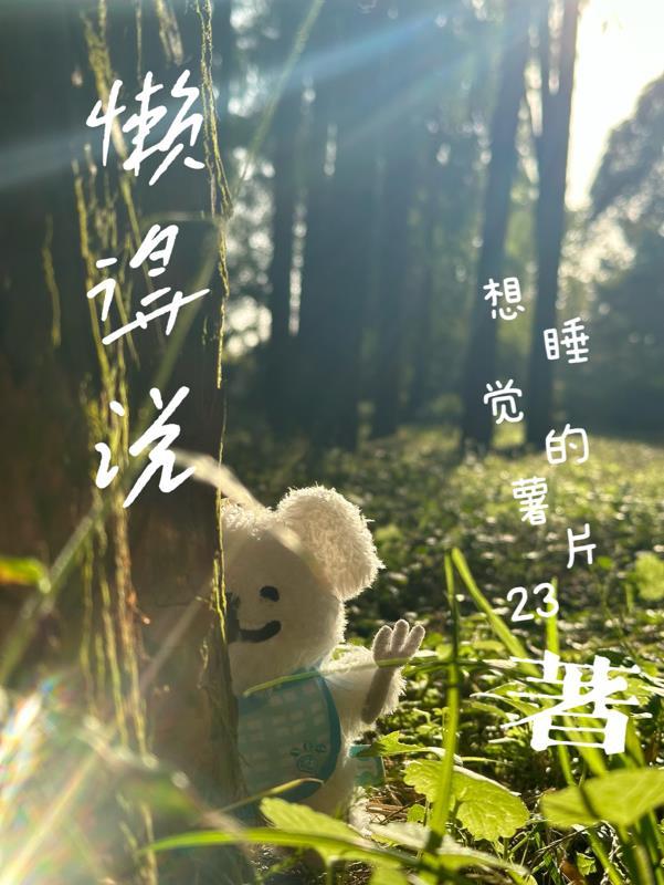 懒得说 懒得说