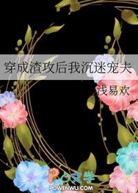穿成渣攻后我沉迷宠夫 穿成渣攻后我沉迷宠夫