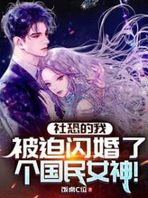 社恐的我,被迫闪婚了个国民女神 社恐的我,被迫闪婚了个国民女神