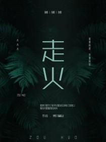 走火 走火