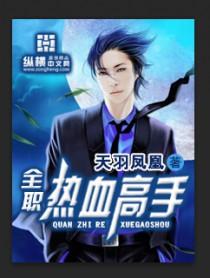 全职热血高手 全职热血高手