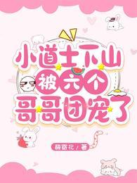 小道士下山被六个哥哥团宠了 小道士下山被六个哥哥团宠了