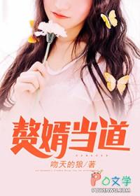 赘婿当道 赘婿当道