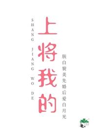 上将,我的 上将,我的