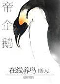 帝企鹅在线养鸟 帝企鹅在线养鸟